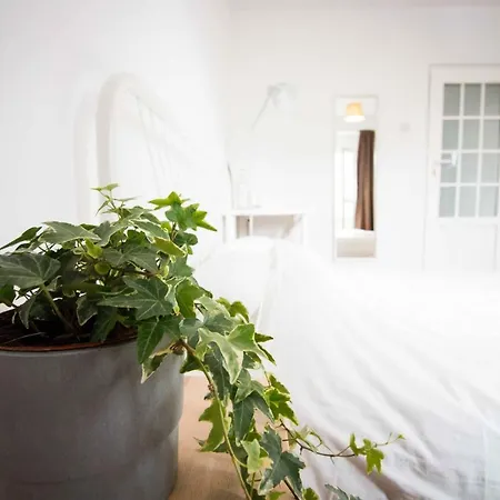 Podstel Homestay Homestay szállás